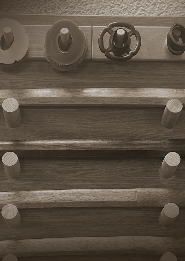 Material de Entrenamiento